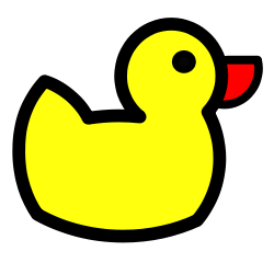 Duck DNS Configure